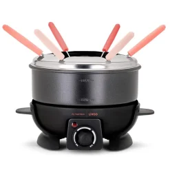 Fondue électrique 650w 6 fourchettes - DOC308