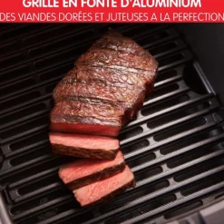 Friteuse électrique sans huile à air chaud 2 en 1 Easy Fry & Grill EZ501810 - Noir