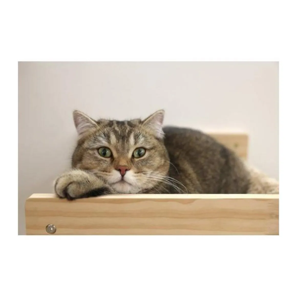 Hamac mural pour chats - KERBL - TIMBER - 38 x 33,5 x 16 cm - Bois massif - Tissu peluche