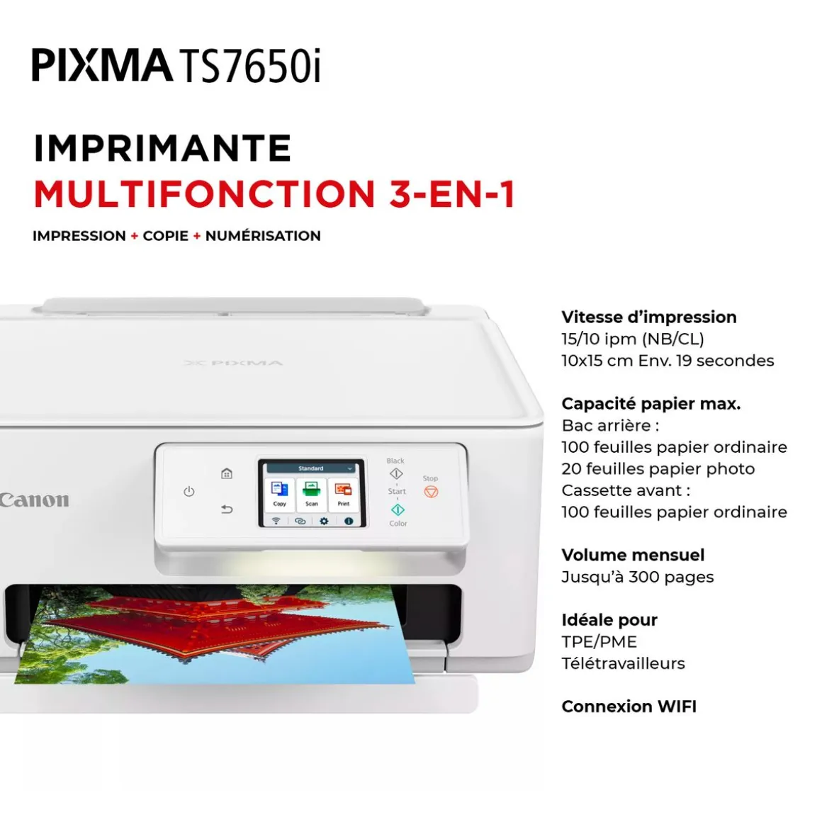 Imprimante multifonction TS7650I - Blanc
