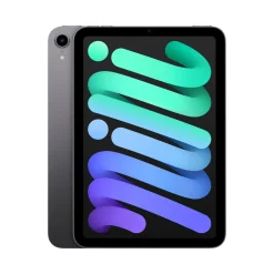 iPad Mini (2021) 8.3 pouces - 256 Go - Gris sidéral