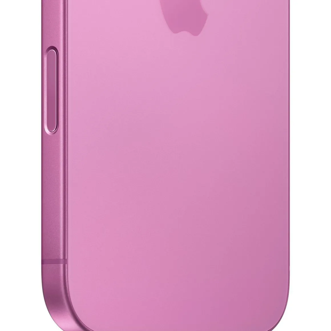 iPhone 16 256Go - Rose