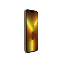 iPhone 13 Pro reconditionné 256 Go - Grade C - Or