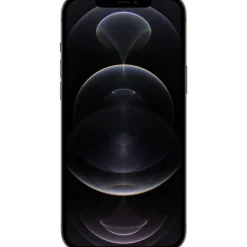 iPhone 12 Pro Max reconditionné 256 Go - Grade C - Gris