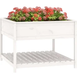 Jardiniere et etagere Blanc 111,5x111,5x81cm Bois massif de pin