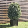 Jardiniere Gris 40x40x40 cm Bois de pin massif