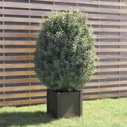 Jardiniere Gris 40x40x40 cm Bois de pin massif