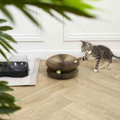 Jeu griffoir 2 en 1 pour chat