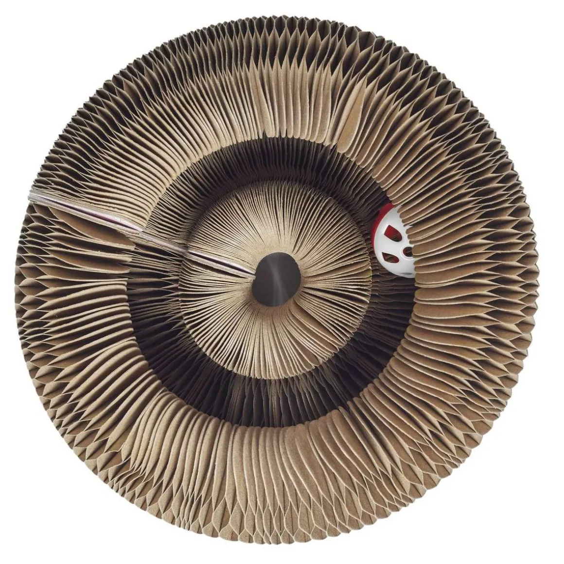 Jeu griffoir 2 en 1 pour chat