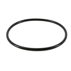 Joint torique pour chlorinateur de piscine - CLX200K - Noir