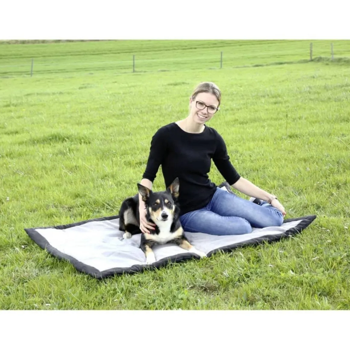 Kerbl Couverture de voyage pour chiens 140 x 100 cm Gris et Noir 81265