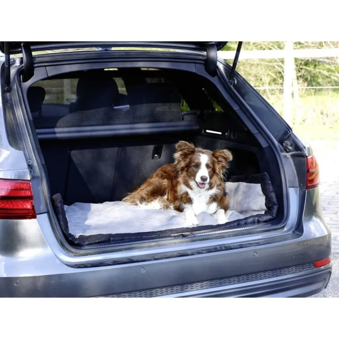 Kerbl Couverture de voyage pour chiens 140 x 100 cm Gris et Noir 81265