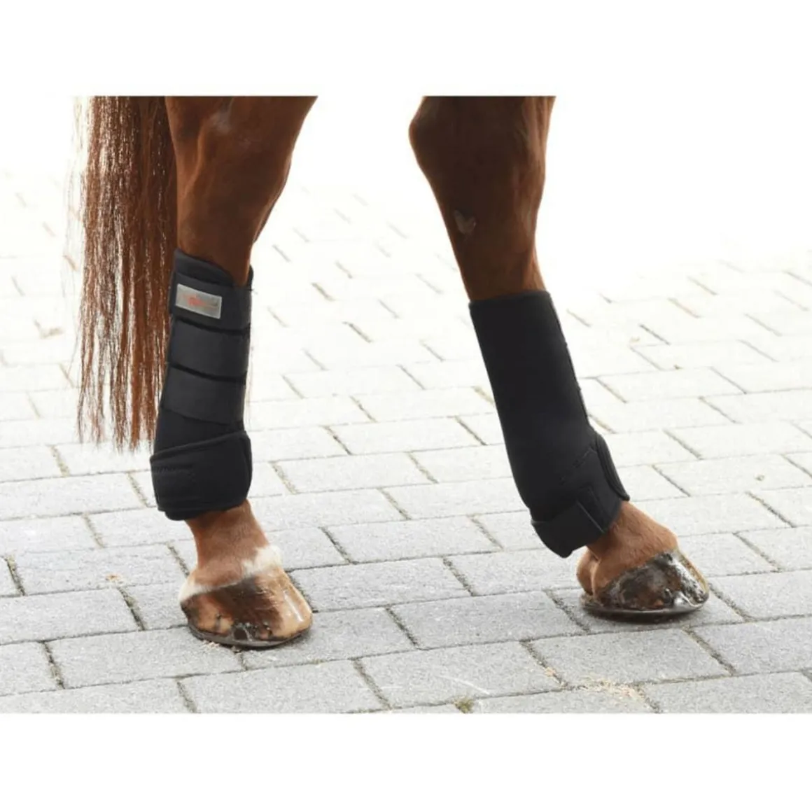 Kerbl Ensemble de guetres de cheval 4 pcs Complet Noir 320133