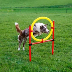 Kerbl Ensemble d'entraînement d'agilite pour chiens Rouge 80758