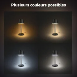 Lampe connectée HUE W&C GO Blanc