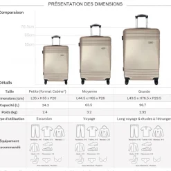 Lot 3 valises dont 1 valise cabine rigides