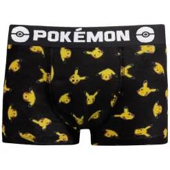 Lot de 5 Boxers coton garçon Pokemon