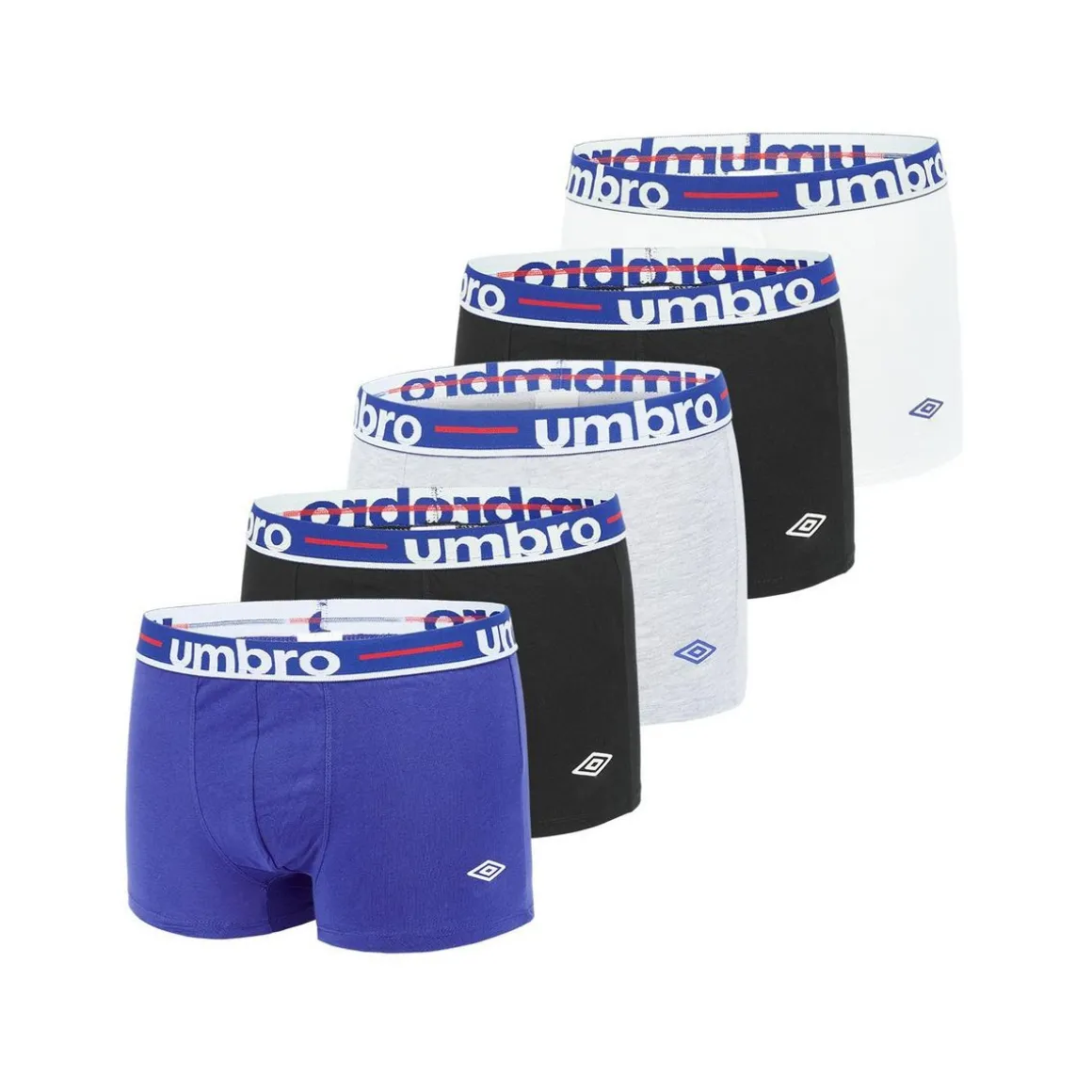 Lot de 5 Boxers coton homme Class