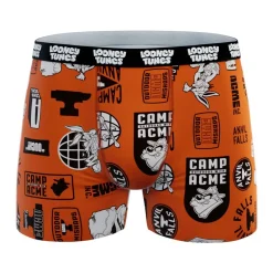 Lot de 4 boxers enfant Looney Tunes