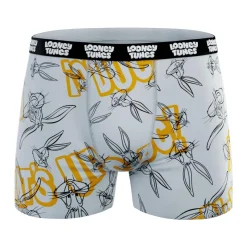 Lot de 4 boxers enfant Looney Tunes