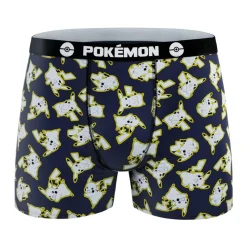 Lot de 4 boxers enfant Pokémon