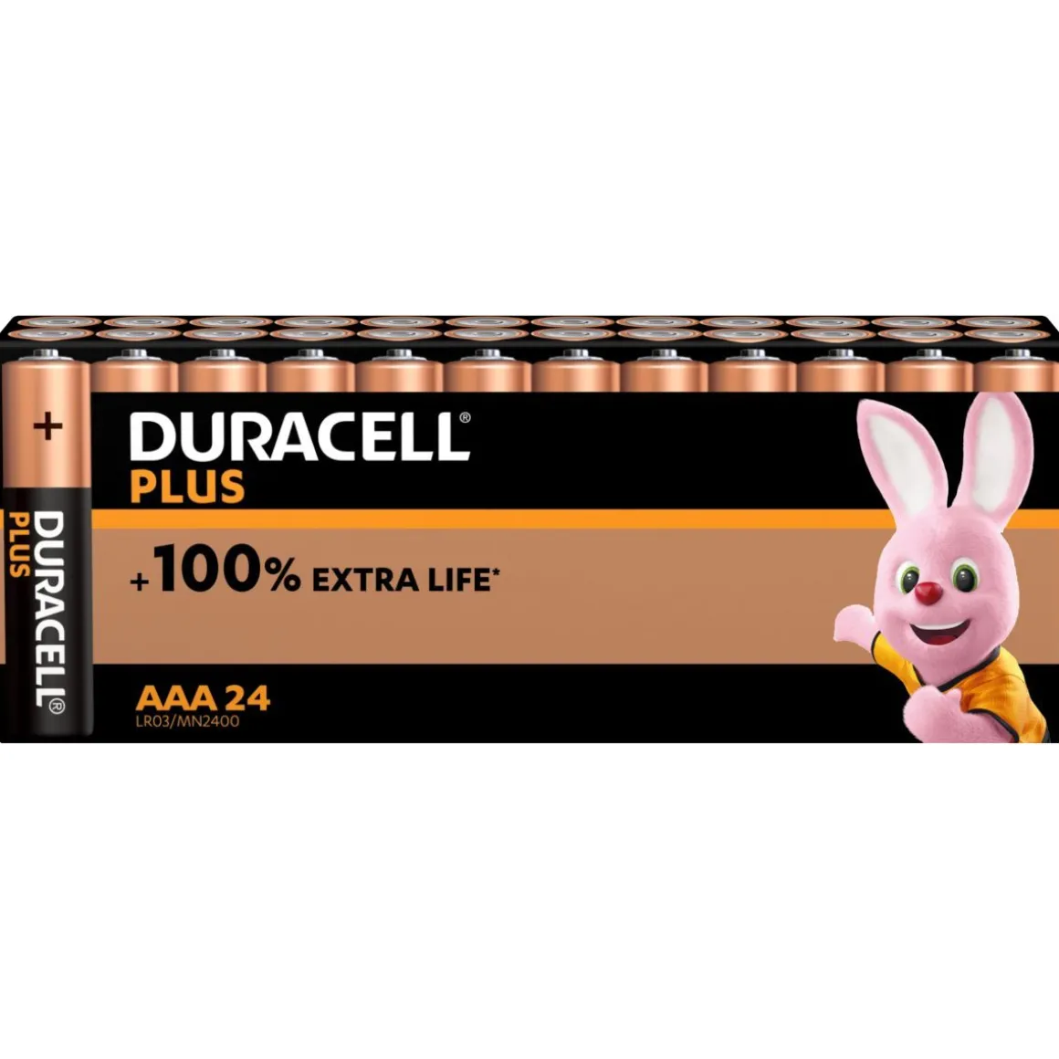 Lot de 24 piles duracell plus 100 % AAA panière