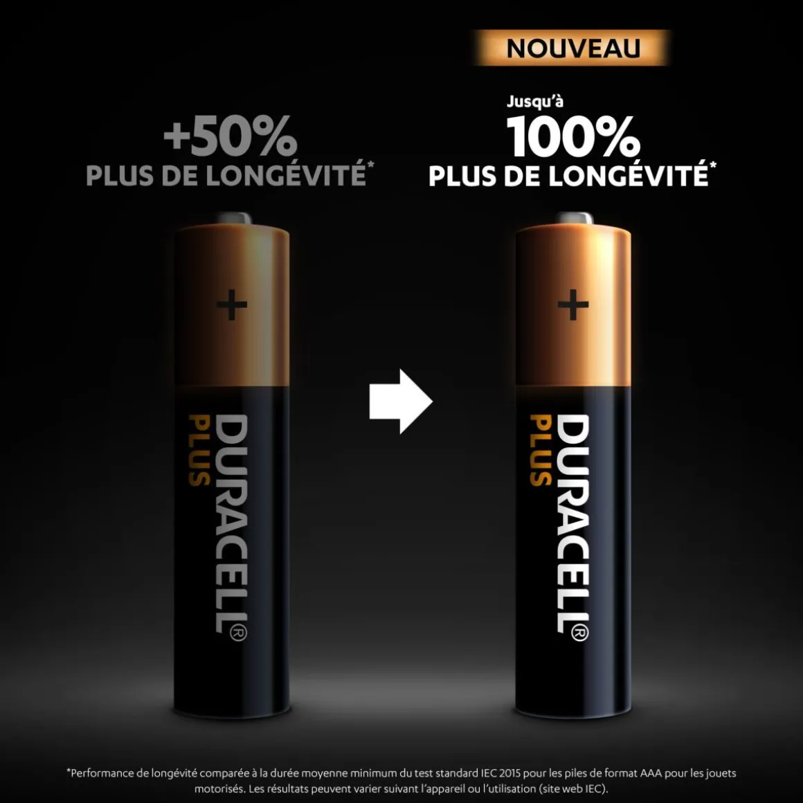 Lot de 24 piles duracell plus 100 % AAA panière