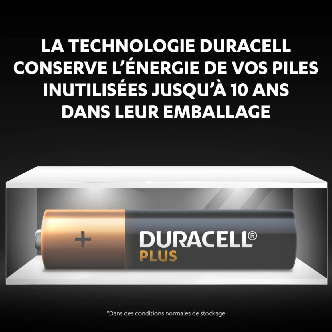 Lot de 24 piles duracell plus 100 % AAA panière