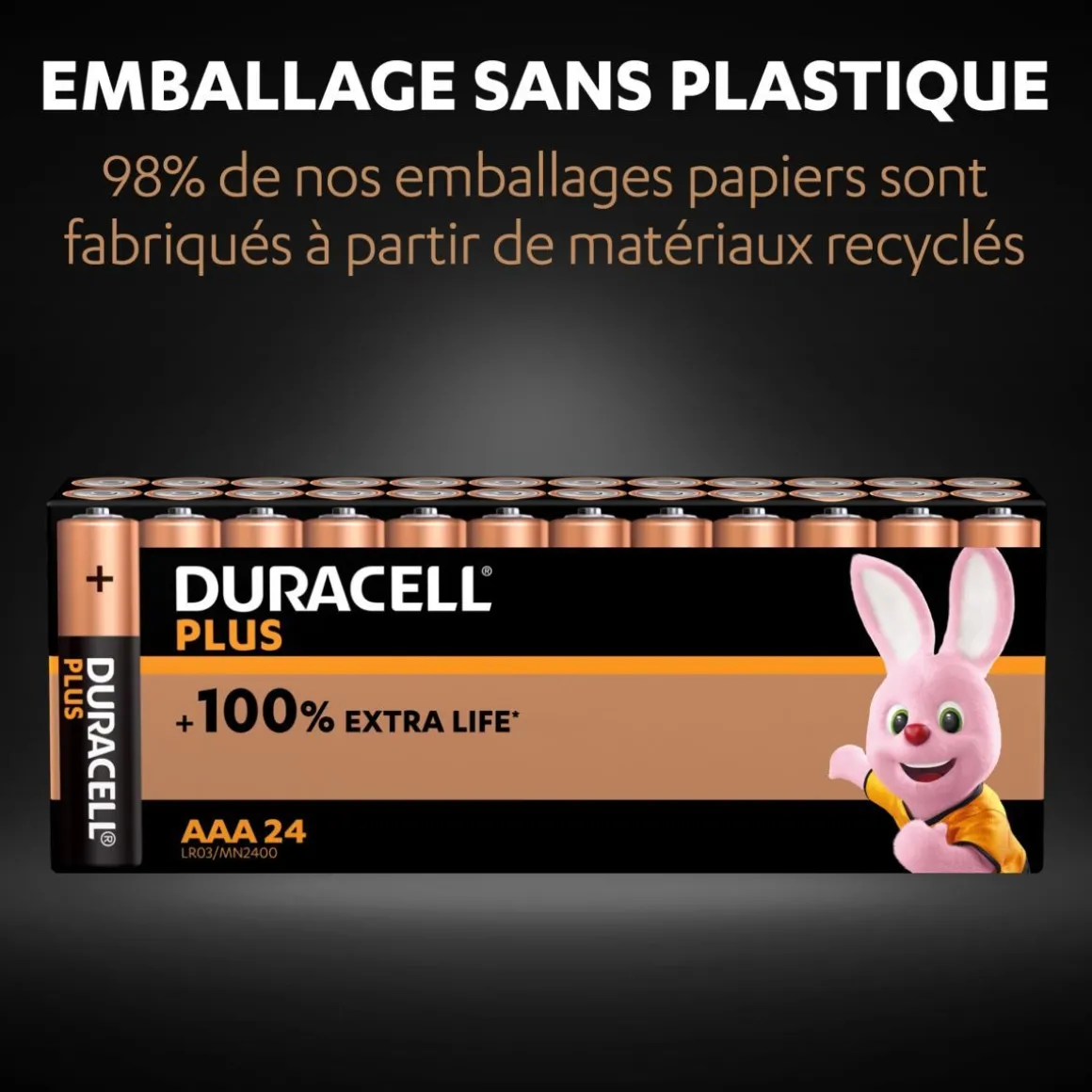Lot de 24 piles duracell plus 100 % AAA panière