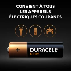 Lot de 24 piles duracell plus 100 % AA panière