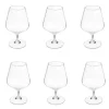 Lot de 6 Verres à Cognac Nora 35cl Transparent