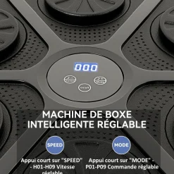 Machine de boxe musicale murale avec lumières - 9 vitesses, modes, Bluetooth - gants - noir
