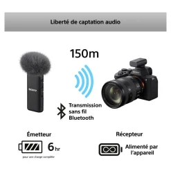 Micro Micro sans fil digital 2 Canaux