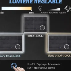 Miroir lumineux LED salle de bain dim. 80L x 60H cm anti-buée grossissant x3 réglable fonction mémoire