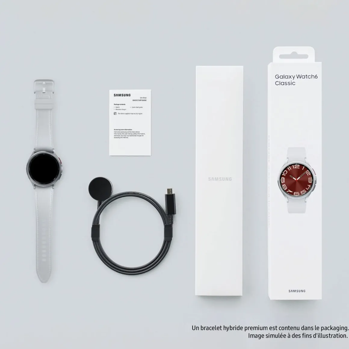 Montre connectée Watch 6 Classic 43MM - Argent