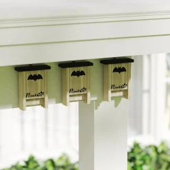 Nichoir à chauves-souris - lot de 3 - dim. 18L x 6l x 22H cm - bois sapin naturel noir