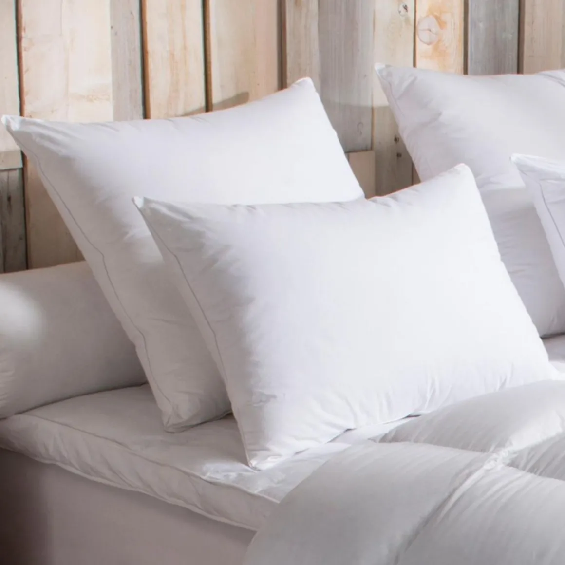 Oreiller 90% Duvet d'Oie MOELLEUX