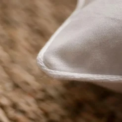 Oreiller 90% Duvet d'Oie MOELLEUX