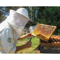 Participez à la sauvegarde des abeilles avec 1 an de parrainage d'une ruche - Coffret Cadeau Multi-thèmes