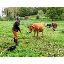 Partie de golf en famille ou entre amis au milieu des animaux - Coffret Cadeau Sport & Aventure