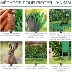 Piège de capture pour petits animaux type lapin rat - entrée, poignée - dim. 100L x 25l x 28H cm - acier vert