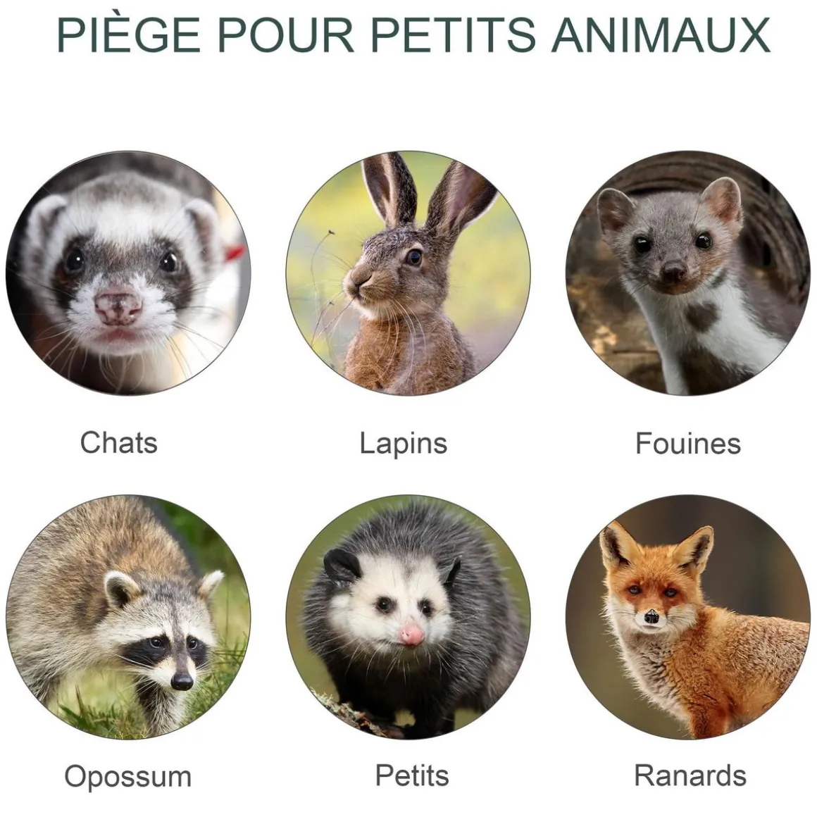 Piège de capture pour petits animaux type lapin rat - 2 entrées + poignée - dim. 80L x 25l x 30H cm - métal vert