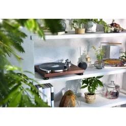 Platine vinyle AT-LPW50BTRW