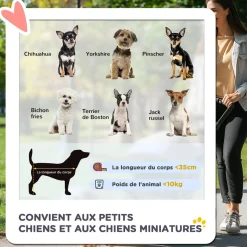 Poussette buggy pliable animaux chariot pliant chien chat porte-gobelet panier de rangement inclus roues avec frein tissu 600D Oxford métal gris