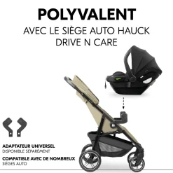 Poussette de voyage Shop N Care