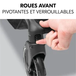 Poussette de voyage Shop N Care