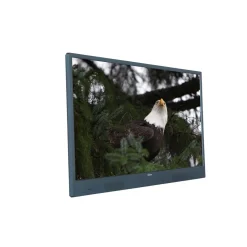 Q32HA232GBAT TV sur batterie DLED HD 80 cm ANDROID TV