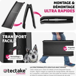 Rampe pour chien Paw Step Auto, pliable et antidérapante, jusqu'à 90kg