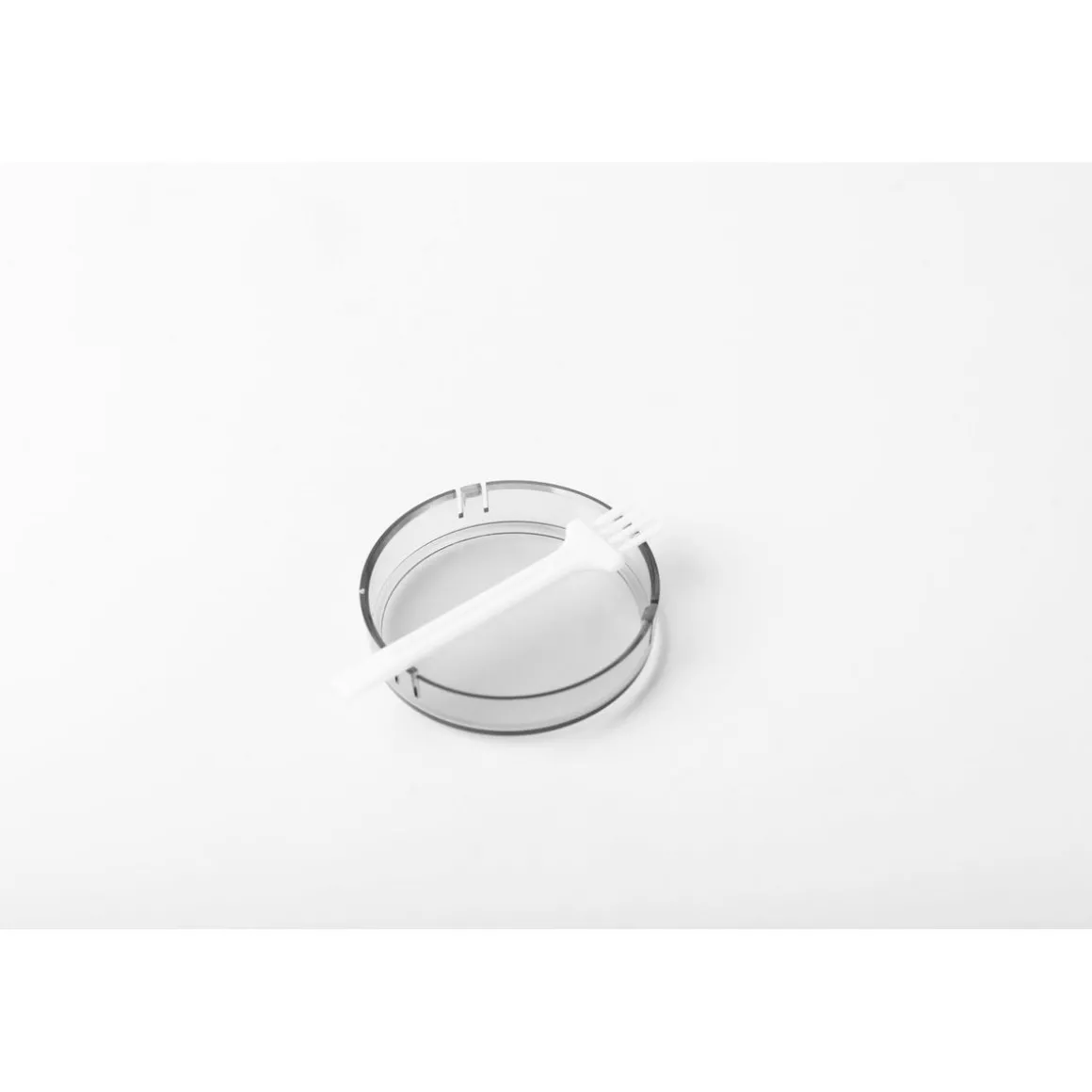 Rase bouloche Q.5219 - Blanc