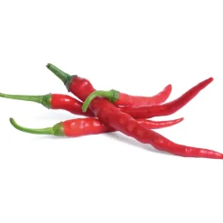 Recharge jardin d'intérieur Mini Piments